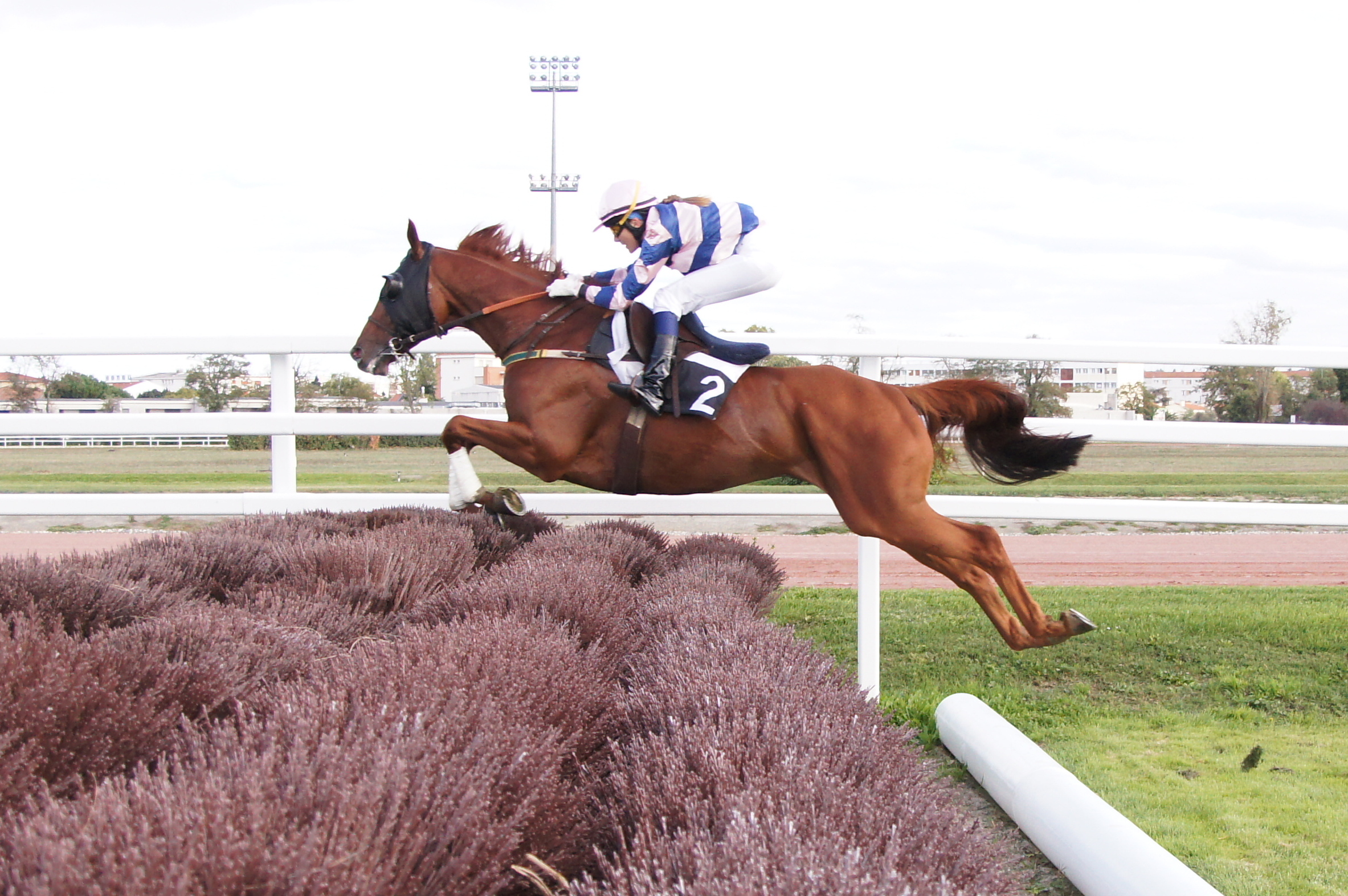 duralock-fencing-birch-jump-takeoff-bar